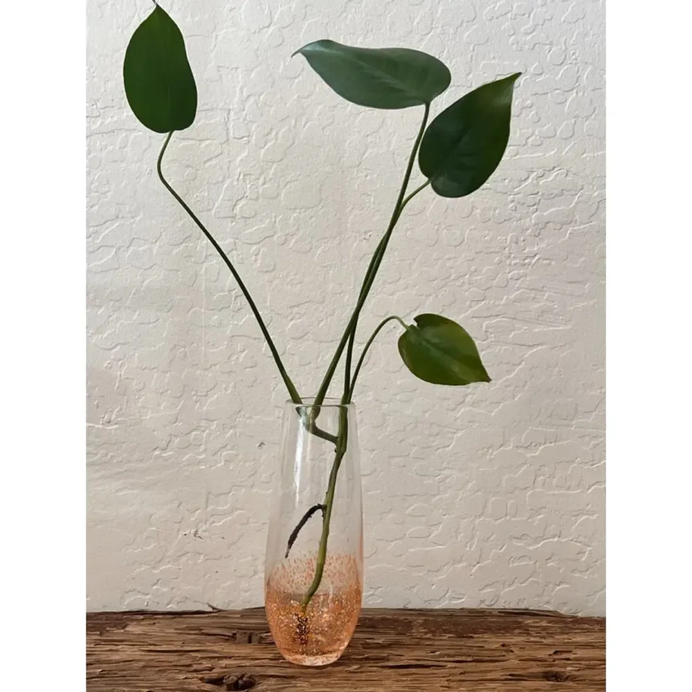 Art Glass Hydroponic Vase Clear Orange & White Speckled Gradient